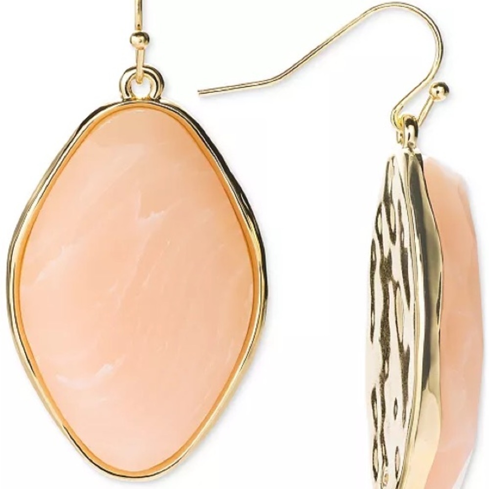 Gold-Tone Stone Hook Earrings